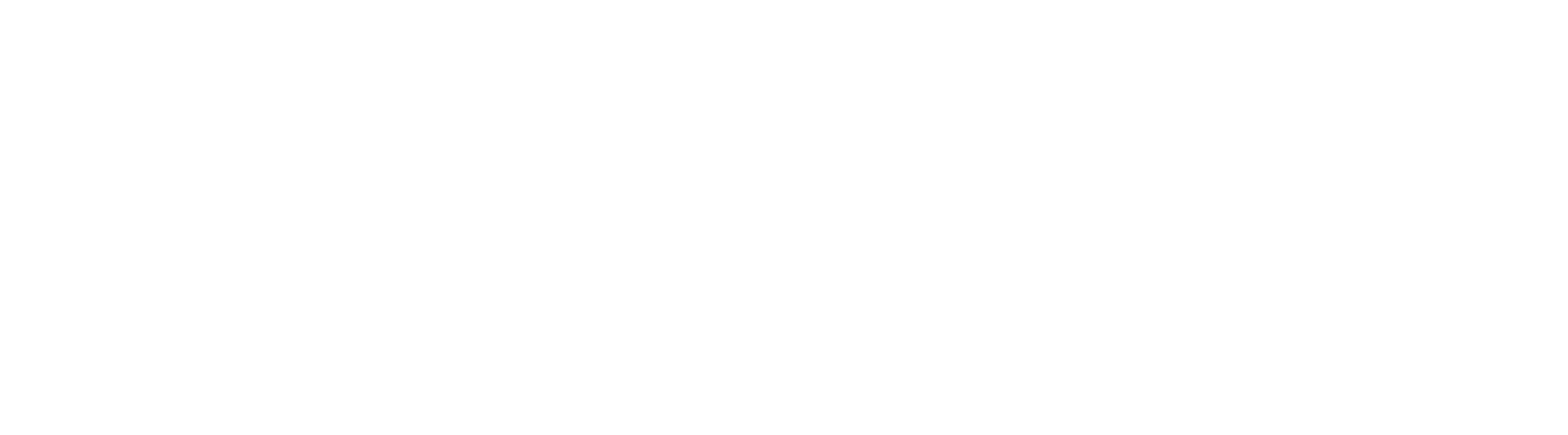 Webseiten Leasing